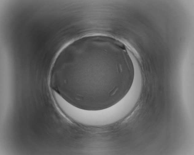 X0000111601189200907301440