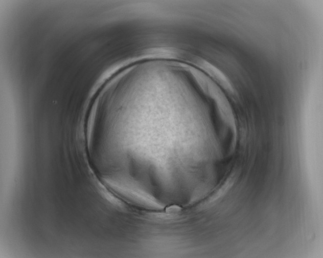 X0000111601192200907301440