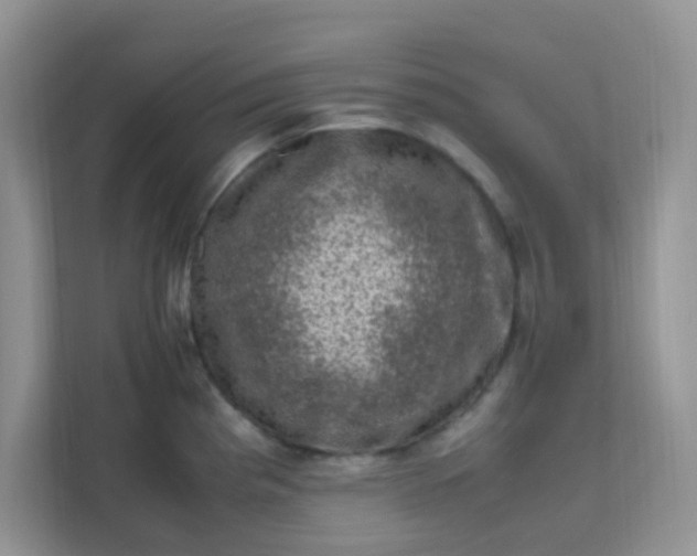 X0000111601193200907301440