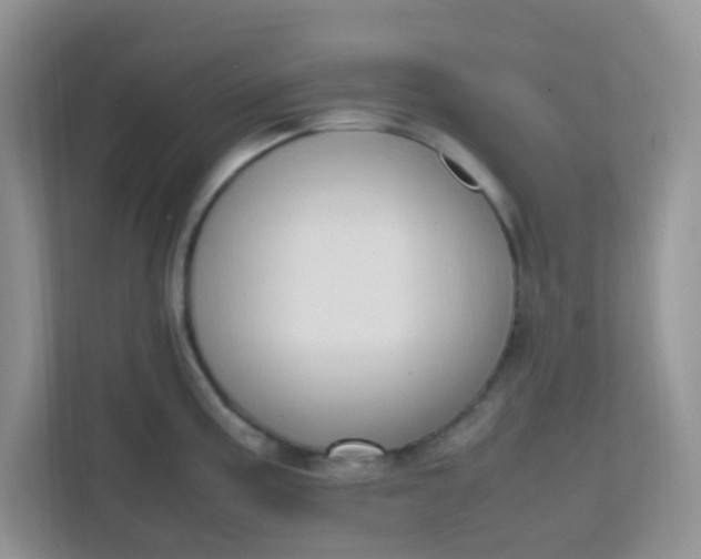 X0000111601195200907301440