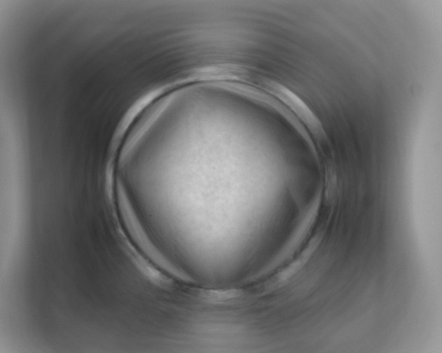 X0000111601196200907301440