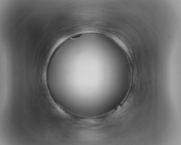 X0000111601197200907301440
