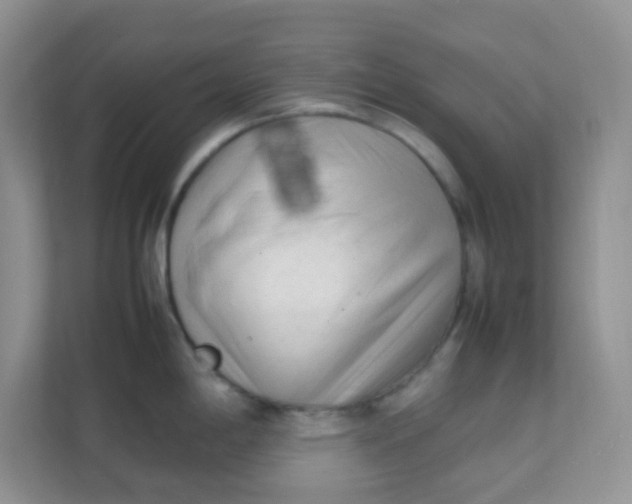 X0000111601198200907301440