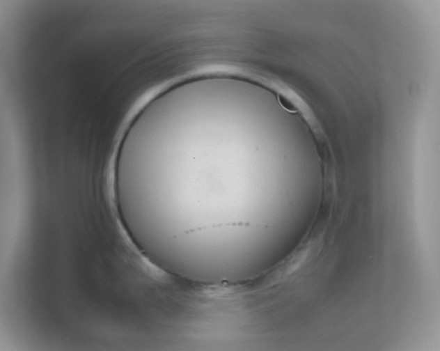 X0000111601199200907301440