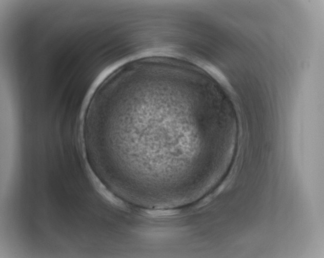 X0000111601200200907301440
