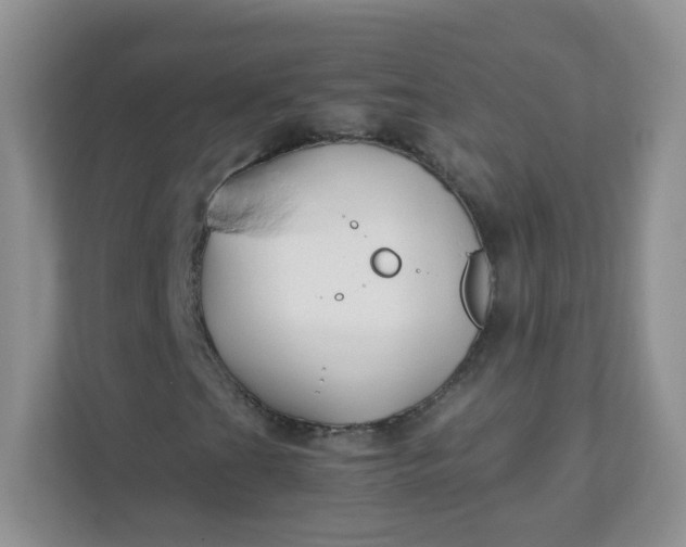 X0000111601201200907301439