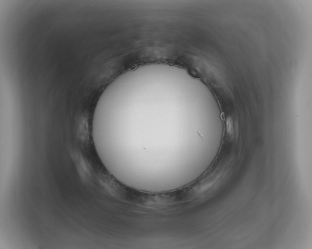 X0000111601203200907301439