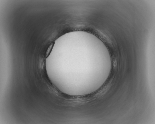X0000111601204200907301439