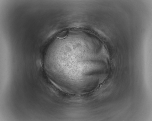 X0000111601206200907301439