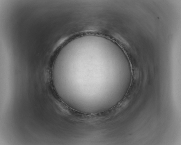X0000111601208200907301440