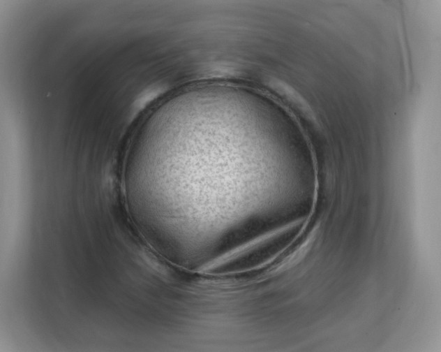 X0000111601210200907301440