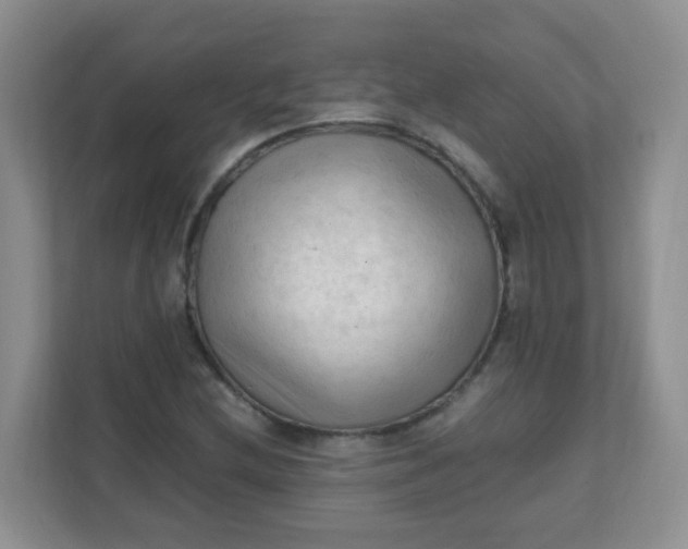 X0000111601212200907301440