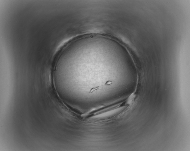 X0000111601214200907301440