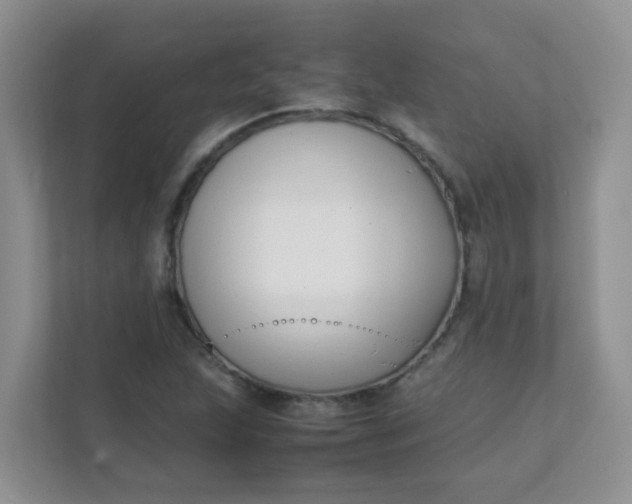 X0000111601215200907301440
