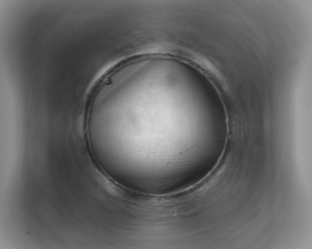 X0000111601216200907301440