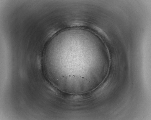 X0000111601217200907301440