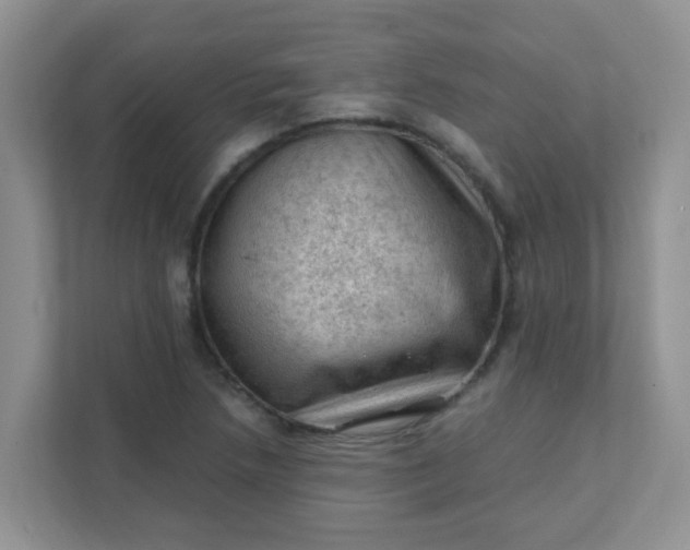 X0000111601218200907301440