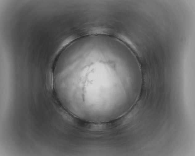 X0000111601219200907301440