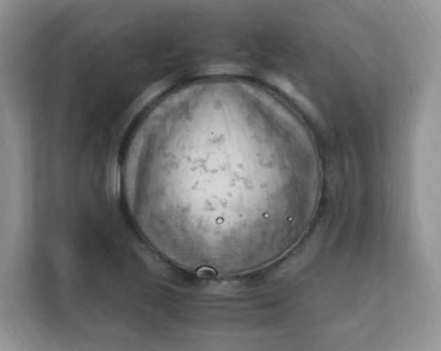 X0000111601221200907301440
