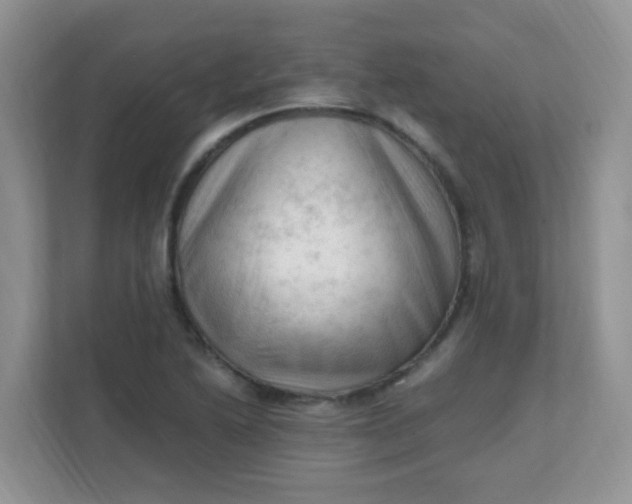 X0000111601222200907301440