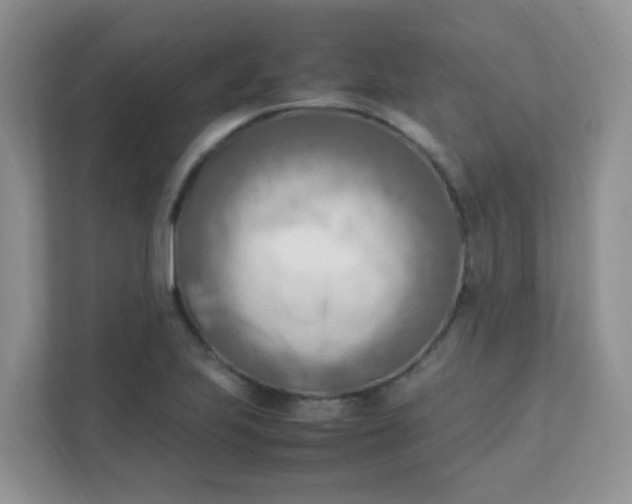 X0000111601223200907301440