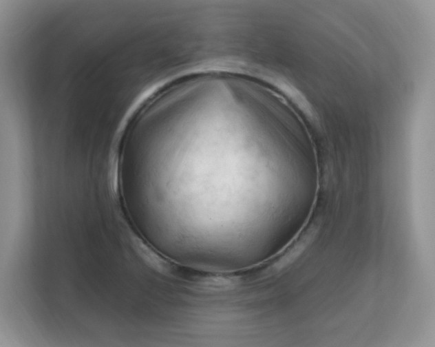 X0000111601224200907301440