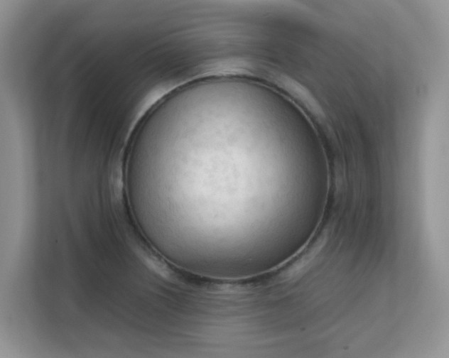 X0000111601226200907301440