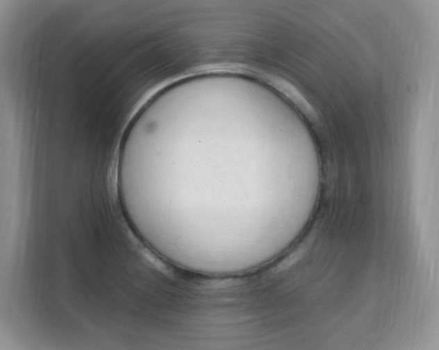 X0000111601228200907301440