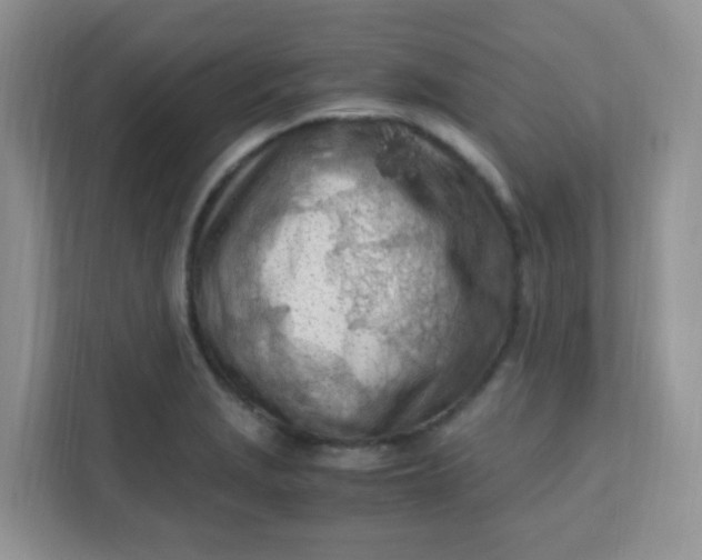 X0000111601229200907301440