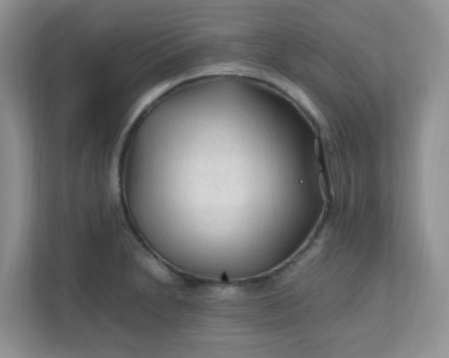 X0000111601230200907301440