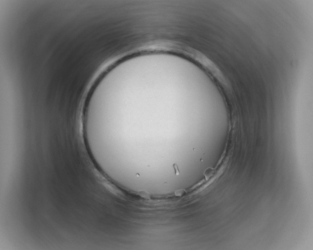 X0000111601232200907301440