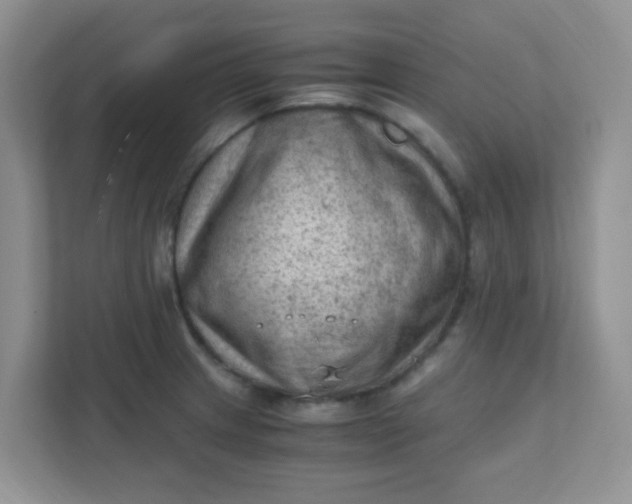 X0000111601233200907301440