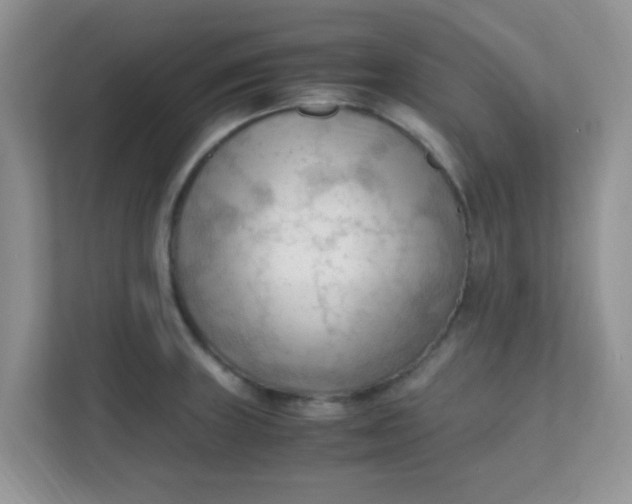 X0000111601235200907301440