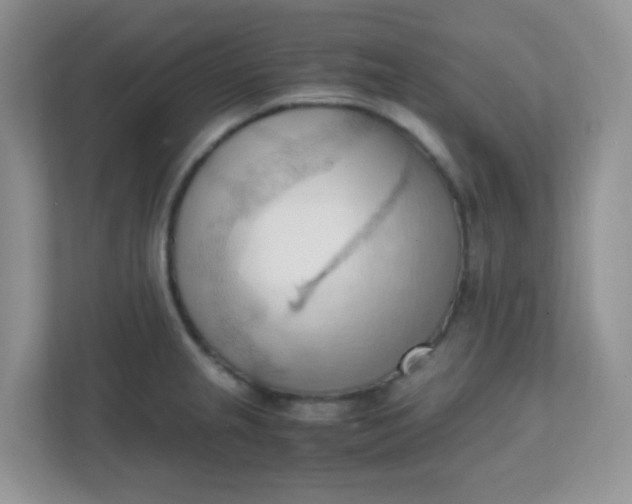 X0000111601237200907301440
