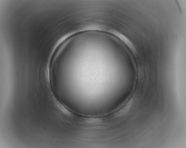 X0000111601238200907301440