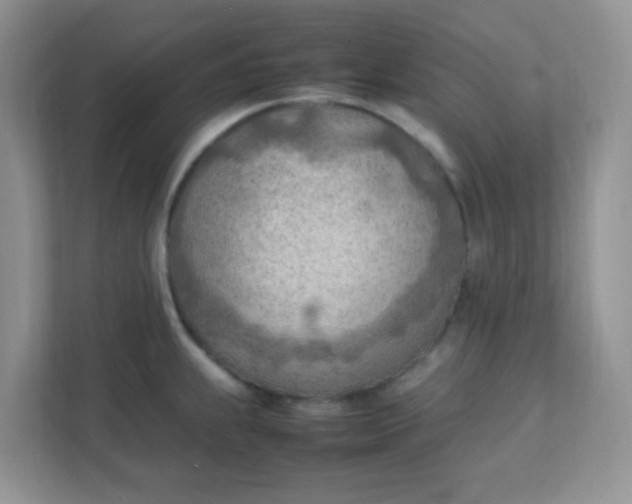 X0000111601239200907301440