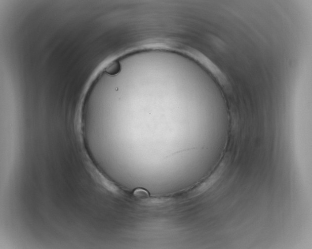 X0000111601240200907301440