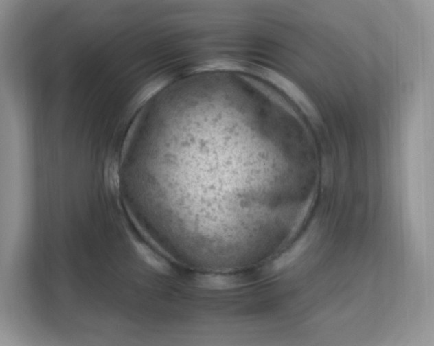X0000111601241200907301440