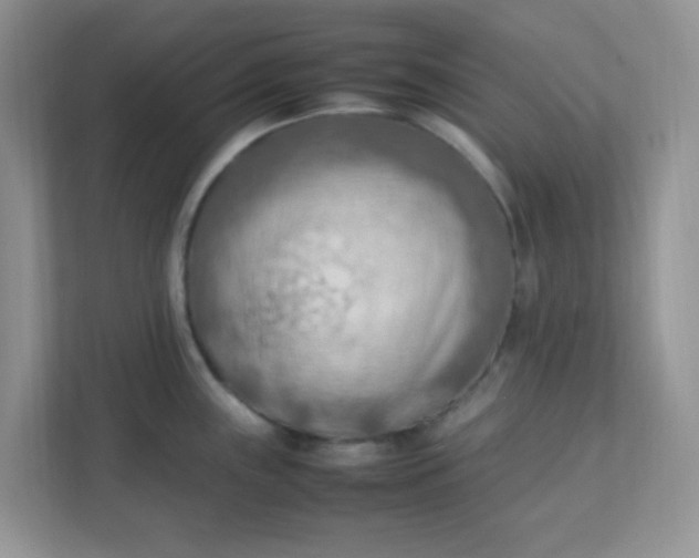 X0000111601243200907301440