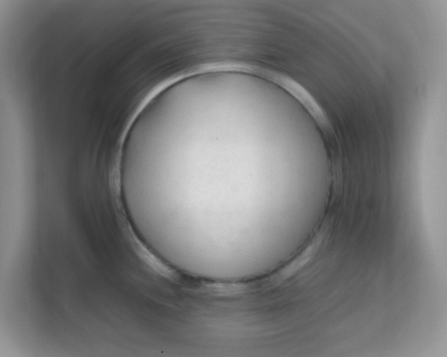 X0000111601244200907301440