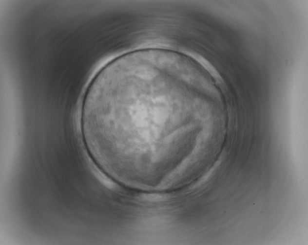 X0000111601246200907301440