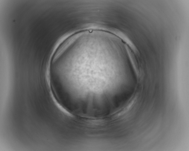 X0000111601247200907301440