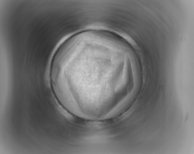 X0000111601248200907301440