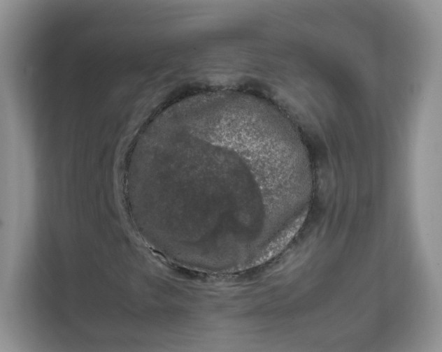 X0000111601249200907301439