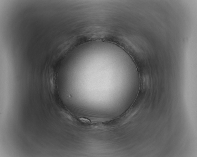 X0000111601250200907301439
