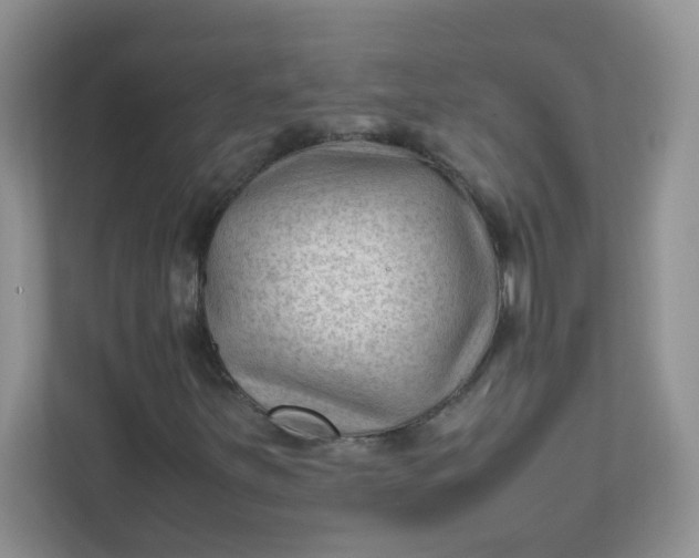 X0000111601251200907301439