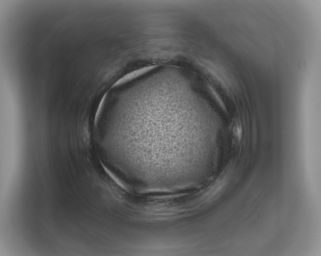 X0000111601252200907301439