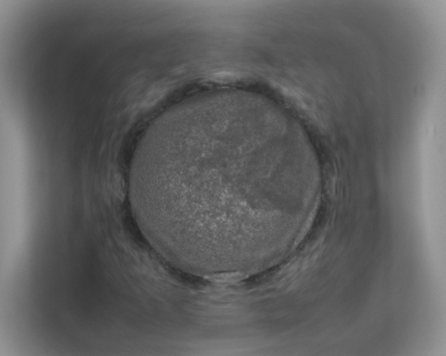 X0000111601253200907301439