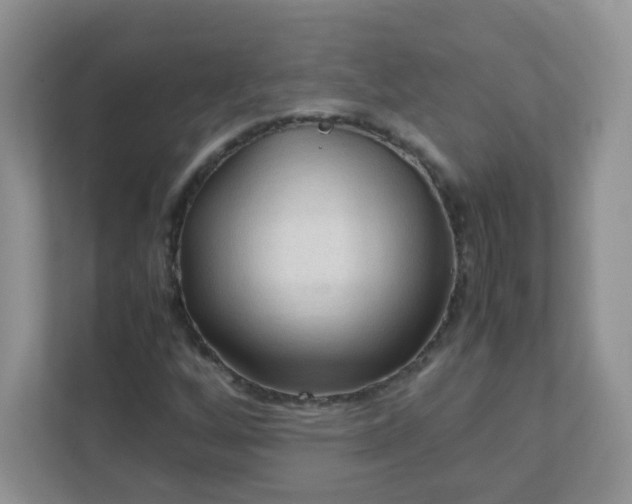 X0000111601256200907301439