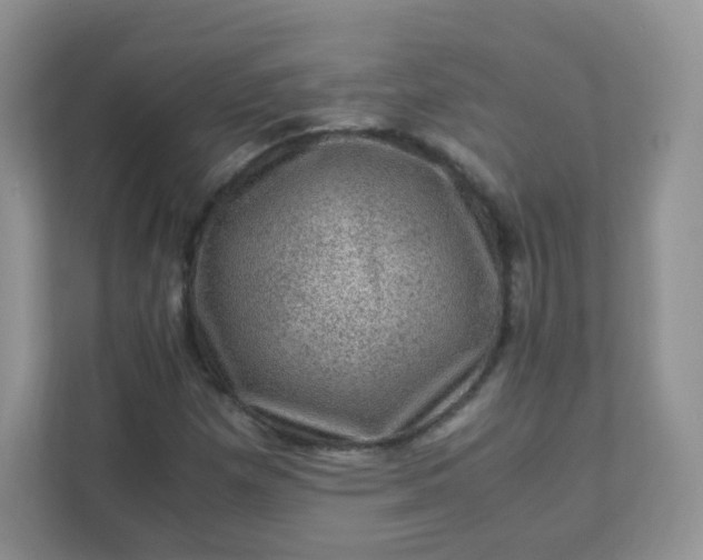 X0000111601257200907301439